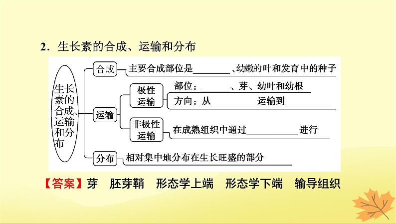 2023版高考生物一轮总复习第9单元植物生命活动的调节第1讲植物生长素课件06