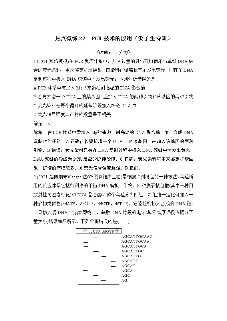 2023版创新设计高考生物（新教材人教版）总复习一轮讲义热点微练22 PCR技术的应用(尖子生特训)第1页