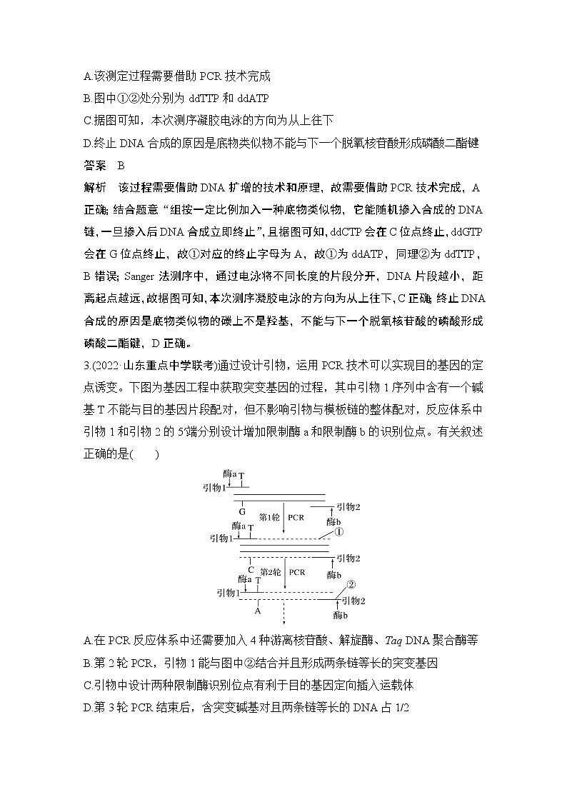 2023版创新设计高考生物（新教材人教版）总复习一轮讲义热点微练22 PCR技术的应用(尖子生特训)第2页