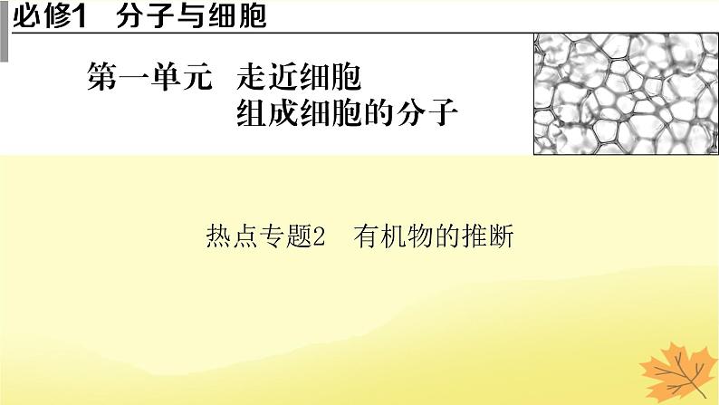 2023版高考生物二轮总复习热点专题2有机物的推断课件第1页