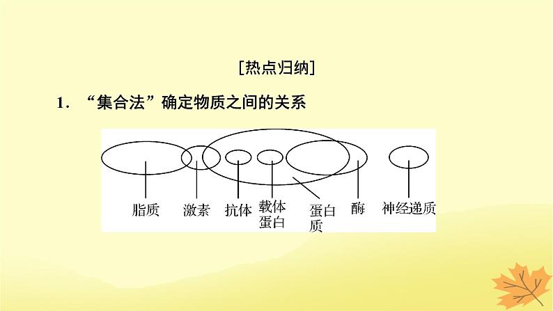 2023版高考生物二轮总复习热点专题2有机物的推断课件第2页