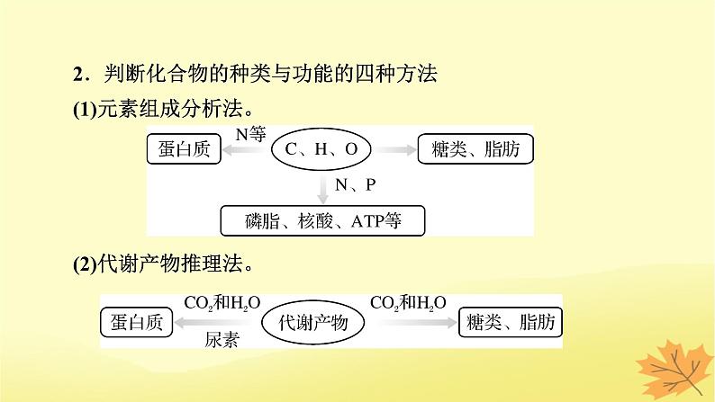 2023版高考生物二轮总复习热点专题2有机物的推断课件第3页