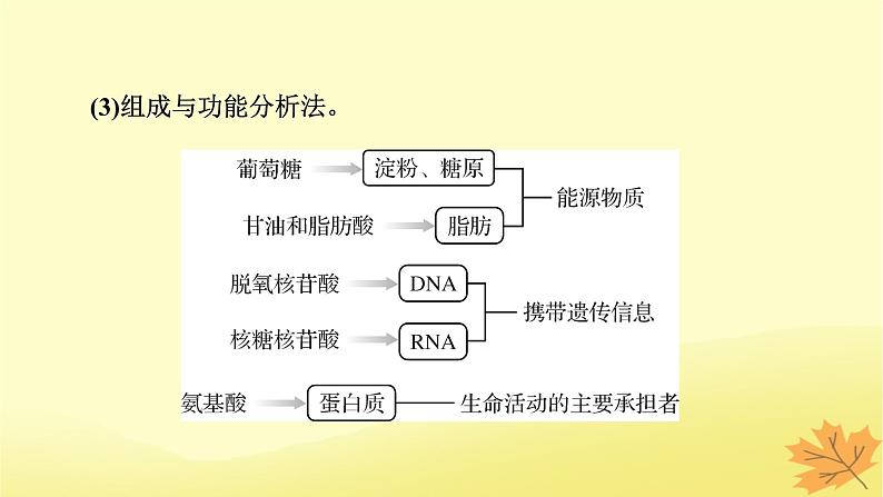 2023版高考生物二轮总复习热点专题2有机物的推断课件第4页