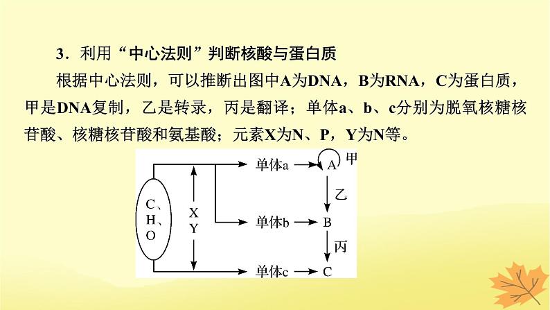 2023版高考生物二轮总复习热点专题2有机物的推断课件第5页