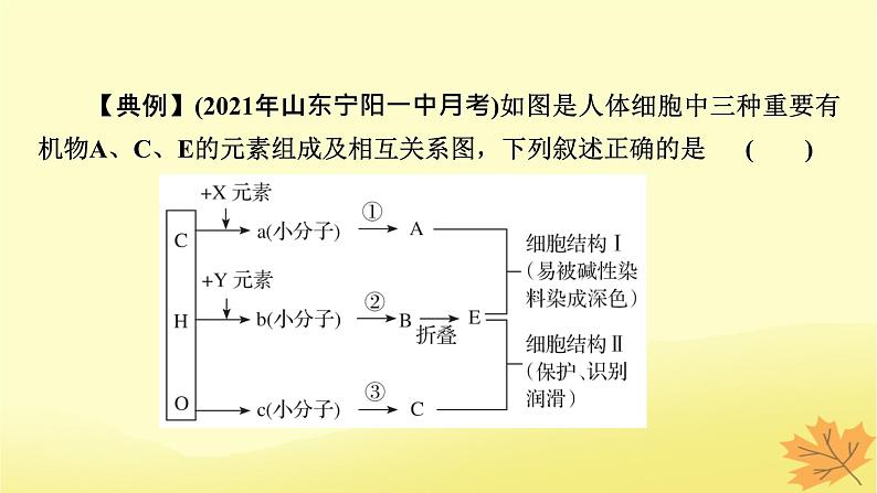 2023版高考生物二轮总复习热点专题2有机物的推断课件第6页