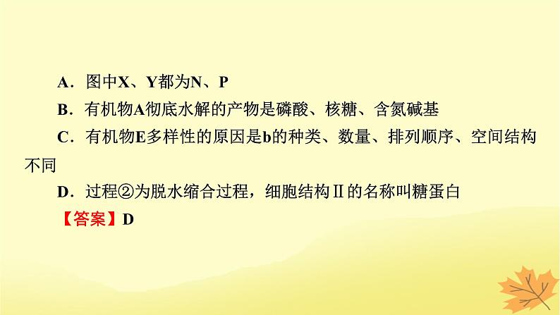 2023版高考生物二轮总复习热点专题2有机物的推断课件第7页