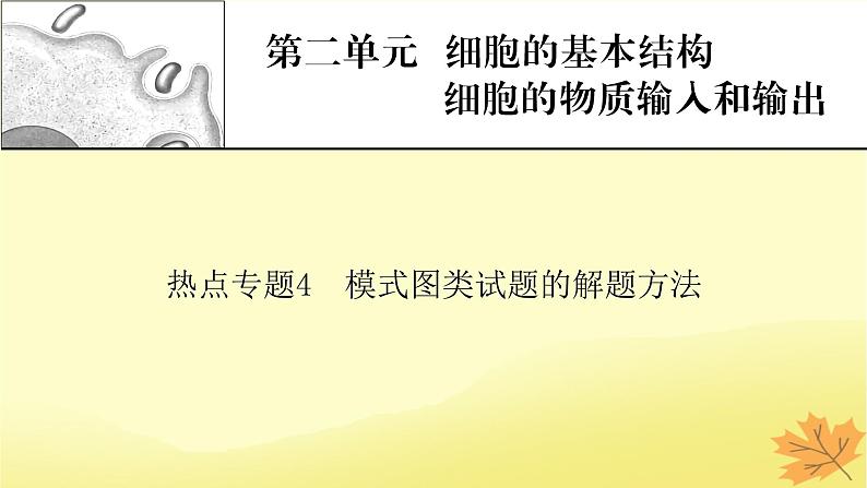 2023版高考生物二轮总复习热点专题4模式图类试题的解题方法课件01