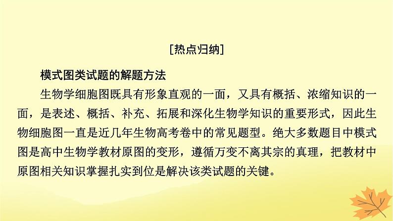 2023版高考生物二轮总复习热点专题4模式图类试题的解题方法课件02