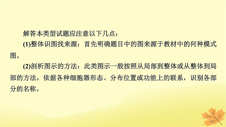 2023版高考生物二轮总复习热点专题4模式图类试题的解题方法课件04