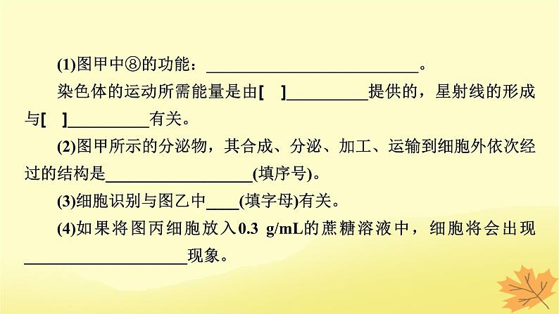 2023版高考生物二轮总复习热点专题4模式图类试题的解题方法课件07