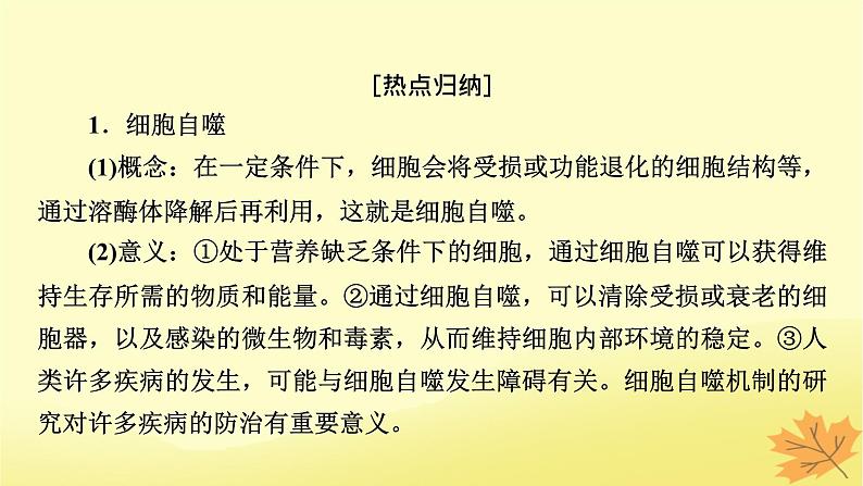 2023版高考生物二轮总复习热点专题6细胞自噬与细胞凋亡课件02