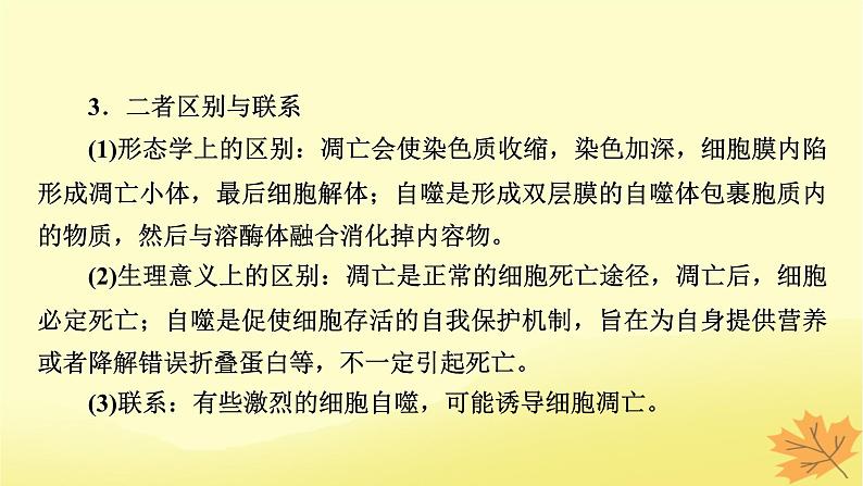 2023版高考生物二轮总复习热点专题6细胞自噬与细胞凋亡课件04