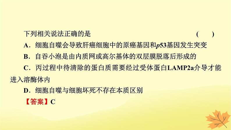 2023版高考生物二轮总复习热点专题6细胞自噬与细胞凋亡课件06