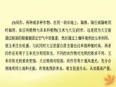 2023版高考生物二轮总复习热点专题5光合作用呼吸作用与农业生产课件