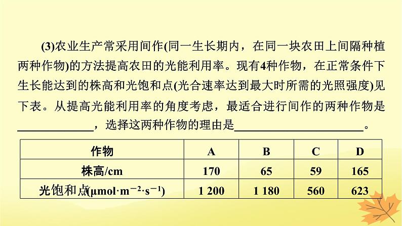 2023版高考生物二轮总复习热点专题5光合作用呼吸作用与农业生产课件第7页