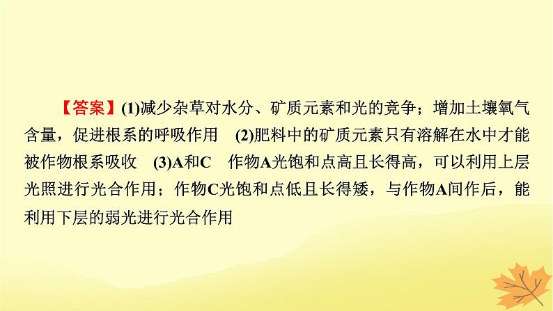 2023版高考生物二轮总复习热点专题5光合作用呼吸作用与农业生产课件第8页