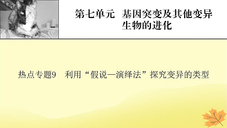 2023版高考生物二轮总复习热点专题9利用“假说_演绎法”探究变异的类型课件第1页