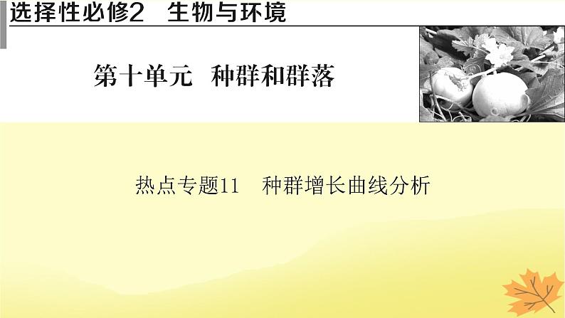 2023版高考生物二轮总复习热点专题11种群增长曲线分析课件01