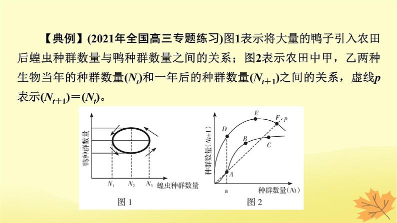 2023版高考生物二轮总复习热点专题11种群增长曲线分析课件08