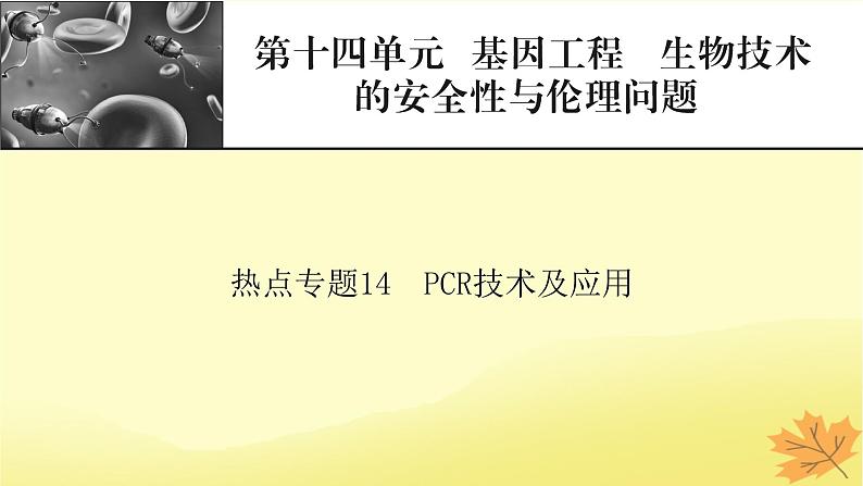 2023版高考生物二轮总复习热点专题14PCR技术及应用课件01