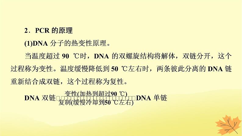 2023版高考生物二轮总复习热点专题14PCR技术及应用课件03