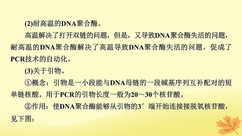 2023版高考生物二轮总复习热点专题14PCR技术及应用课件04