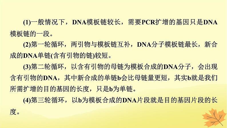 2023版高考生物二轮总复习热点专题14PCR技术及应用课件08