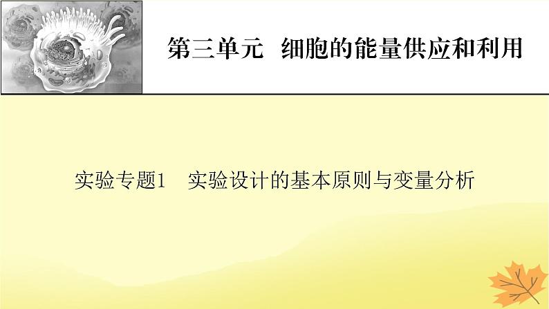 2023版高考生物一轮总复习实验专题1实验设计的基本原则与变量分析课件第1页