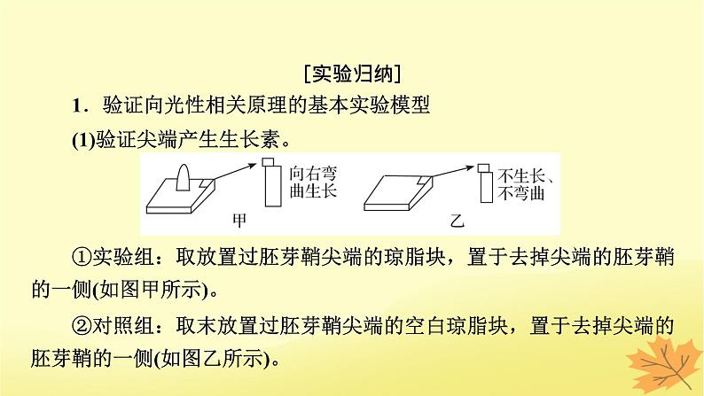 2023版高考生物一轮总复习实验专题3植物激素调节实验探究课件02