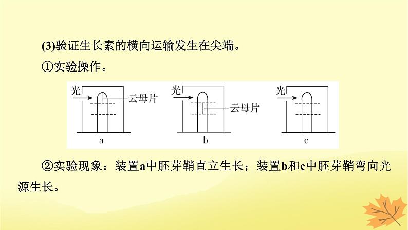 2023版高考生物一轮总复习实验专题3植物激素调节实验探究课件04