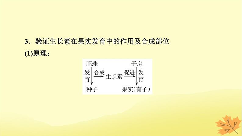 2023版高考生物一轮总复习实验专题3植物激素调节实验探究课件06