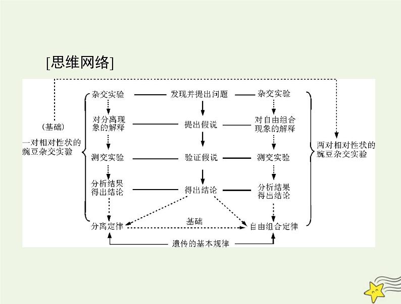 2023版高考生物一轮总复习第1章第1节孟德尔的豌豆杂交实验一课件03