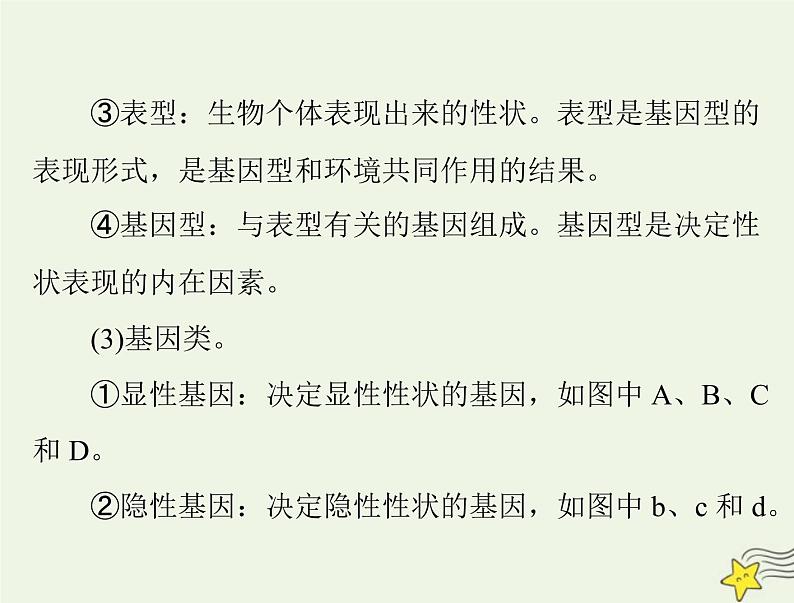 2023版高考生物一轮总复习第1章第1节孟德尔的豌豆杂交实验一课件07