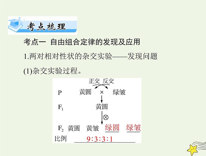 2023版高考生物一轮总复习第1章第2节孟德尔的豌豆杂交实验二课件02