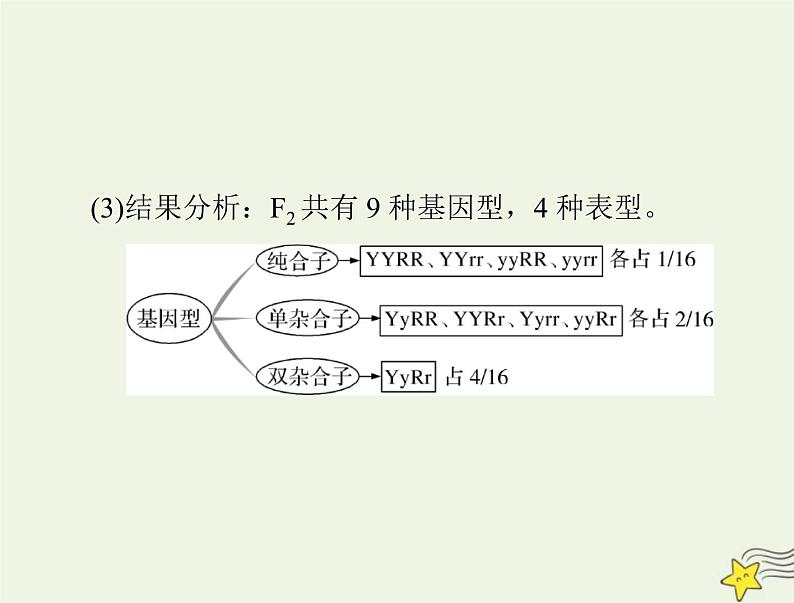 2023版高考生物一轮总复习第1章第2节孟德尔的豌豆杂交实验二课件07