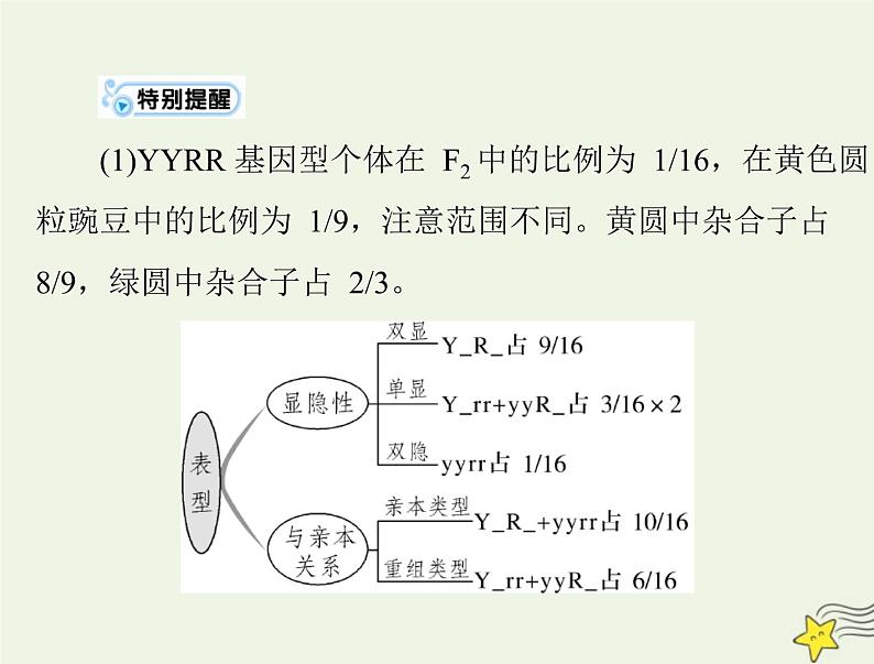 2023版高考生物一轮总复习第1章第2节孟德尔的豌豆杂交实验二课件08