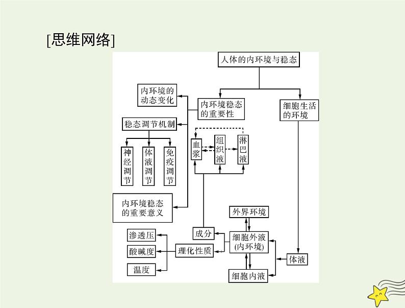 2023版高考生物一轮总复习第1章人体的内环境与稳态课件第3页