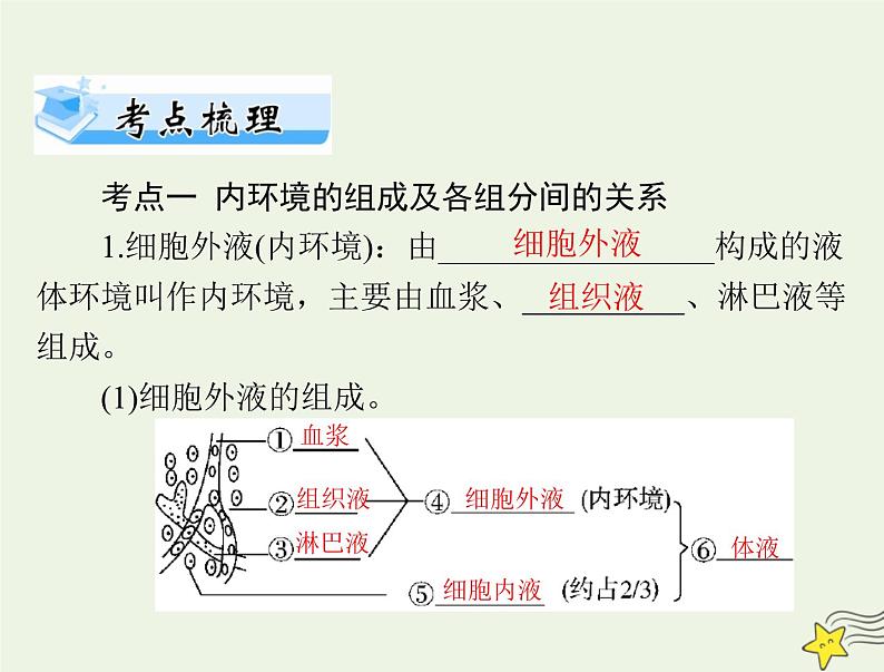 2023版高考生物一轮总复习第1章人体的内环境与稳态课件第4页