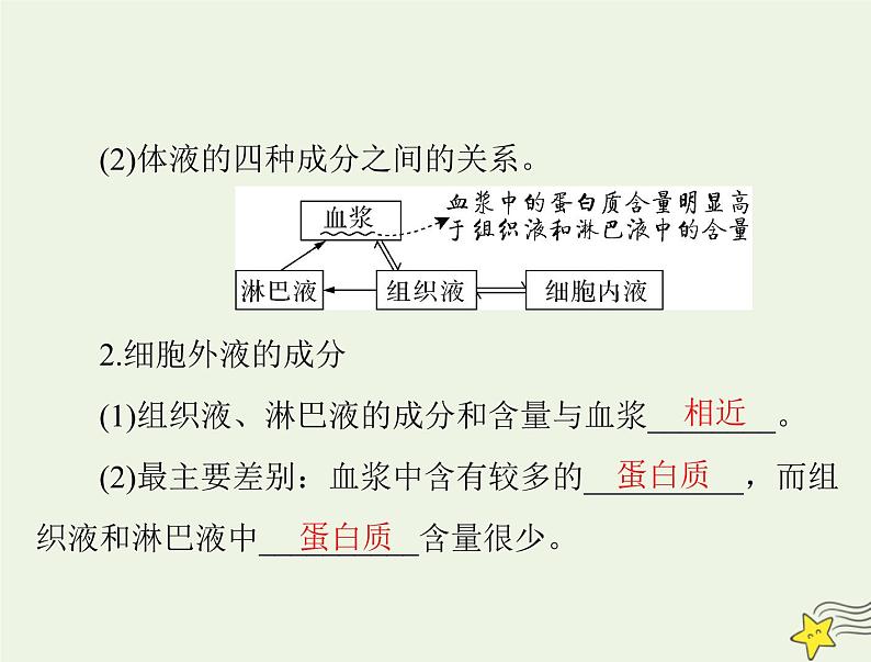 2023版高考生物一轮总复习第1章人体的内环境与稳态课件第5页