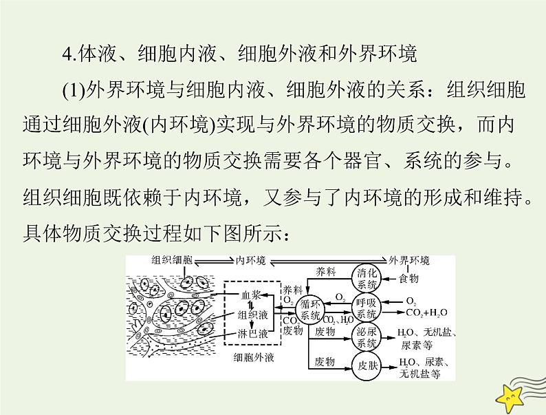 2023版高考生物一轮总复习第1章人体的内环境与稳态课件第7页