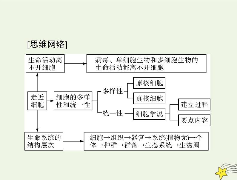 2023版高考生物一轮总复习第1章走近细胞课件03