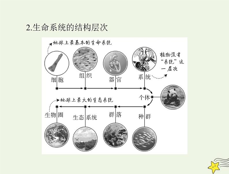 2023版高考生物一轮总复习第1章走近细胞课件05