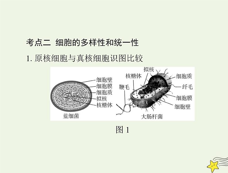 2023版高考生物一轮总复习第1章走近细胞课件08