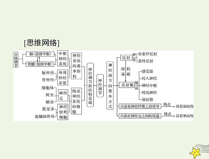 2023版高考生物一轮总复习第2章第1、2节神经调节的结构基础神经调节的基本方式课件03