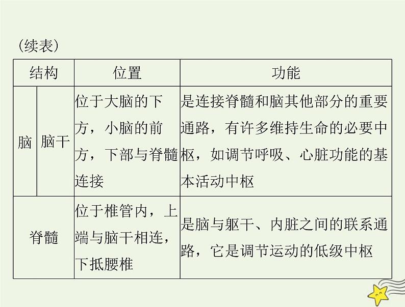 2023版高考生物一轮总复习第2章第1、2节神经调节的结构基础神经调节的基本方式课件07