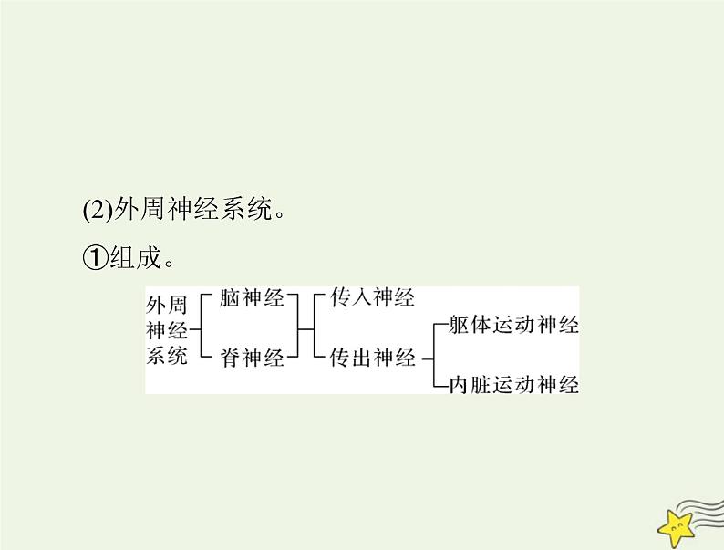 2023版高考生物一轮总复习第2章第1、2节神经调节的结构基础神经调节的基本方式课件08