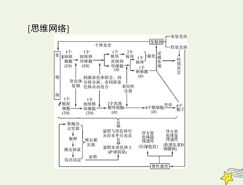 2023版高考生物一轮总复习第2章第1节减数分裂和受精作用课件03