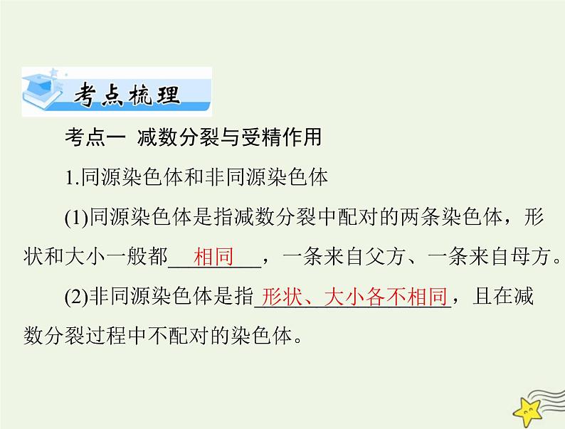 2023版高考生物一轮总复习第2章第1节减数分裂和受精作用课件05