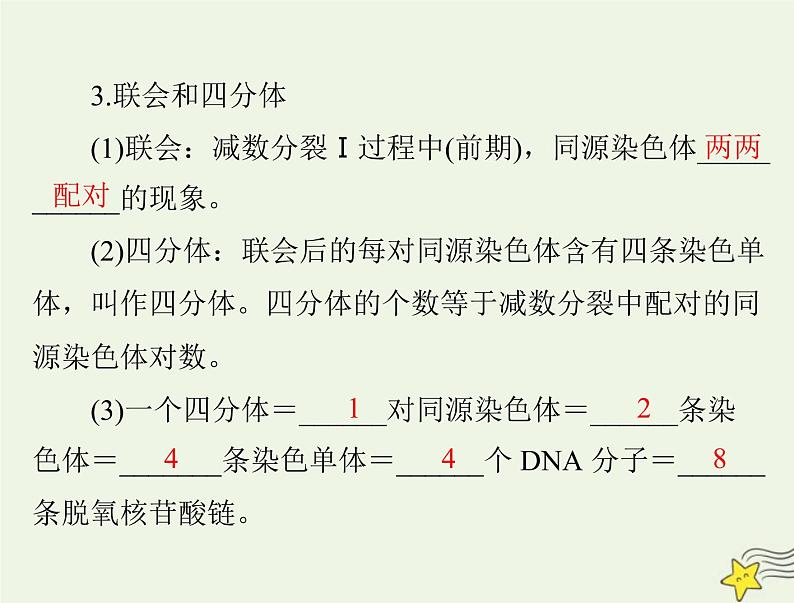 2023版高考生物一轮总复习第2章第1节减数分裂和受精作用课件07