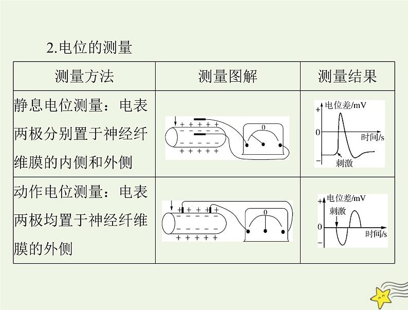 2023版高考生物一轮总复习第2章第3、4、5节神经冲动的产生和传导神经系统的分级调节人脑的高级功能课件05